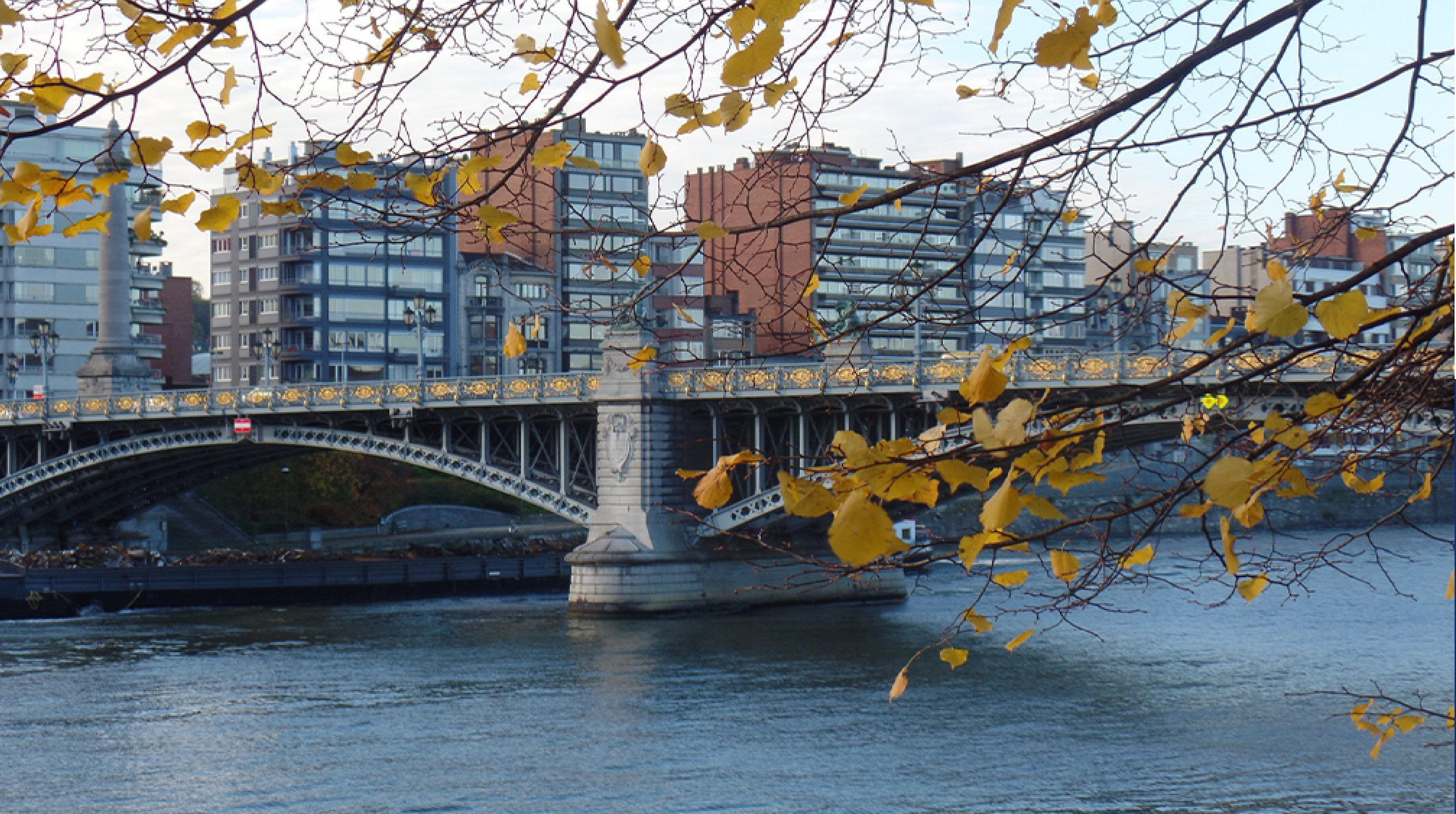 Capture d’écran 2024-12-04 à 12.04.36